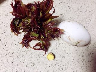 2、#春食野菜#椿芽烘鹅蛋,准备食材