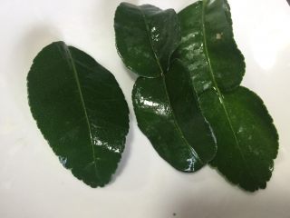 5、泰式青咖喱酱·东南亚风味,柠檬叶，去茎，撕碎。