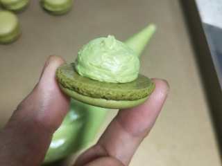 20、意式抹茶马卡龙（无色素版）,将内馅装入裱花袋。可以用裱花嘴也可以不用装圆形裱花咀，我是没有装的。取一个马卡龙外壳如图挤上抹茶内陷，再盖上一个大小相同的。