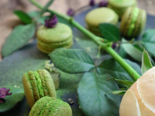 22、意式抹茶马卡龙（无色素版）,分享一组图片。