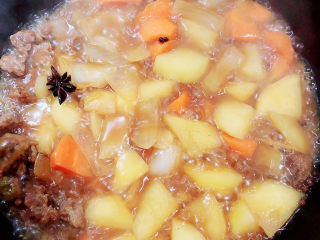 16、胡萝卜炖牛腩,尝一尝咸淡味，不够咸度，可以再加半勺盐。