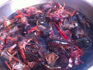 1、小龙虾月饼,小龙虾洗净绰水