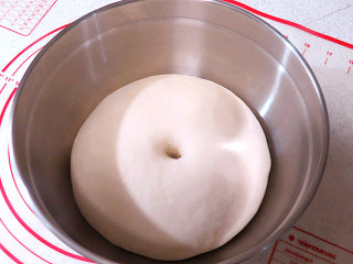 8、意大利面包【香草佛卡夏】,发酵好的面团