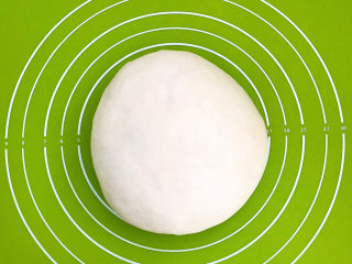 15、鲜肉饼,揉成光滑的面团，盖上保鲜膜饧面15分钟