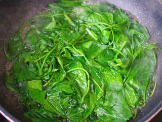 2、辣椒叶酱肉包,把摘洗干净的辣椒叶,用清水冲洗干净后,锅中倒入适量的清水,加入少许盐和几滴油,把辣椒叶焯水,看见辣椒叶变色断生即可捞出沥干水分。