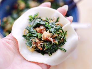 13、辣椒叶酱肉包,在擀薄的饺子皮里,放入适量的馅料。