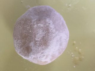 11、蔓越莓椰蓉月饼,粘一点面粉，拍掉多余的