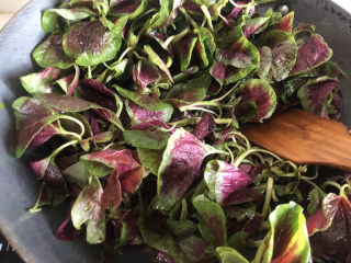 8、清炒苋菜,放苋菜爆炒