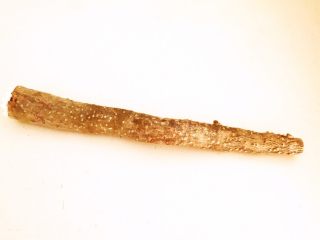 5、山药猪骨汤,山药清洗干净后削皮