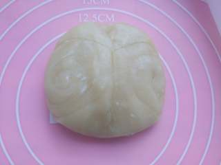 16、苏式鲜肉月饼,压扁