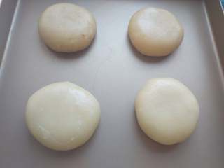 19、苏式鲜肉月饼,收口朝下放入烤盘中，上火175度，下火200度，中下层，烤25分钟即可