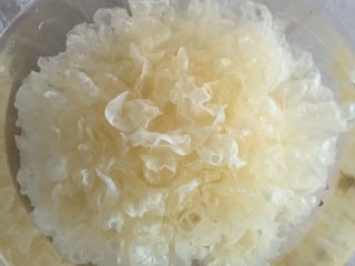 2、紫薯银耳粥,提前泡半天就可以了，泡发好以后是这种状态就行了