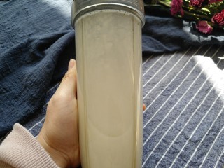 7、山药奶昔,喜欢口感细腻一些的 可以多打一会 打完后的效果。