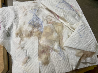 13、啤酒鸡翅根,取出鸡翅，检出葱姜，用厨房纸巾吸干水分