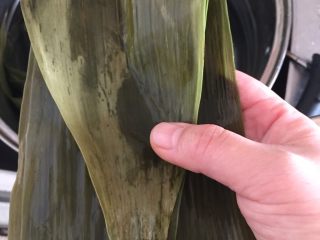 8、肉粽子,拿出两张粽叶落在一起，每片粽叶都有一个光面和一个毛面，用手一摸就感觉出来了，然后光面朝上，把叶子尖部如图叠过来大概五分之一的长度
