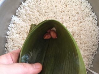 11、肉粽子,用手托住粽叶，放入两枚花生根据你自己口味，放不放都可以