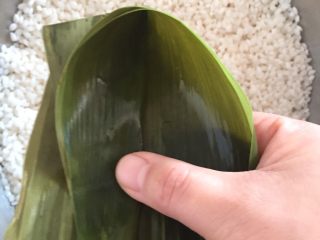 10、肉粽子,然后打开对折的一个边，这样一个粽子的模型就出来了