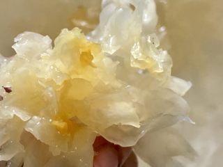 15、日式三文鱼沙拉,白木耳也一样去根部剪块状。