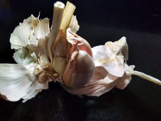 3、蒜蓉西兰花,蒜