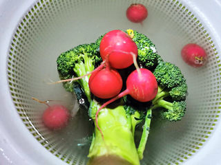 7、蒜蓉西兰花,樱桃小萝卜也放进来