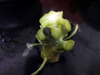 9、蒜蓉西兰花,长的其貌不扬