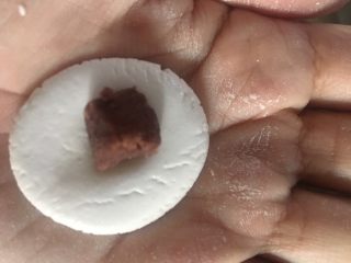 11、#乡味#梅州+客家特色汤圆,加入豆沙