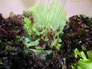 2、蒜蓉蚝油生菜,冲洗干净