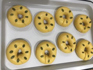 15、南瓜圈圈面包,发酵完毕，表面涂蛋液，装饰南瓜子。