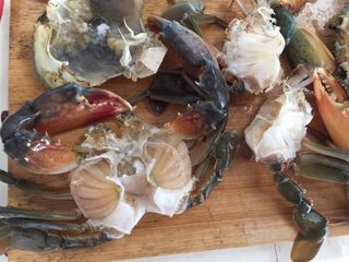 7、泰式椰浆土豆咖喱蟹,将蟹鰓处理掉