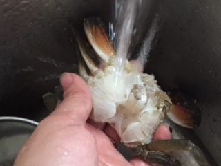 8、泰式椰浆土豆咖喱蟹,然后用刷子在自来水下刷洗干净
