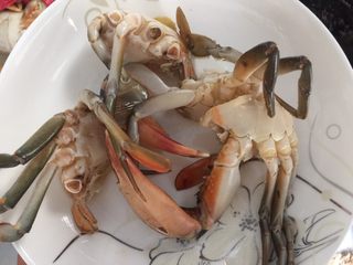 16、泰式椰浆土豆咖喱蟹,将煎好的蟹盛起装盘备用