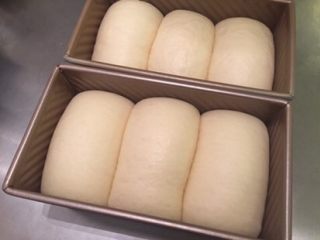 11、黄金吐司（老面法）,发至模具八至九成模高（轻按面包胚，会缓解回缩即可）