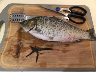 1、红烧鲫鱼,鲫鱼洗净，确认鳞片干净后修剪鳍