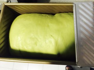 17、新加坡特色吐司～班兰叶葡萄干吐司,大概一小时，就会发酵到9分满。