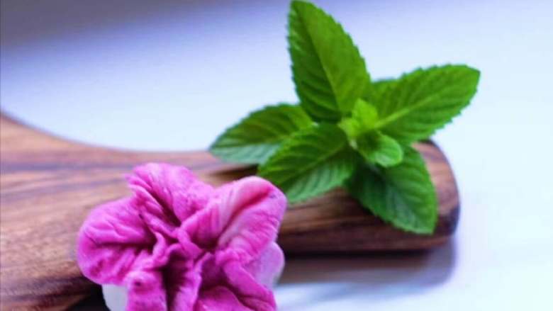 冬至美食火龙果白菜蒸饺