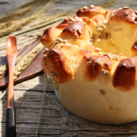 日式香浓练乳面包