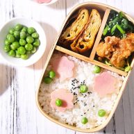 春游赏花便当手残党也能轻松搞定