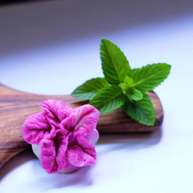 冬至美食火龙果白菜蒸饺