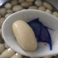 乡味梅州客家特色汤圆