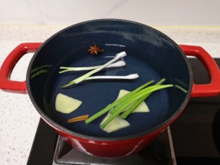 2、花生莲藕排骨汤,另起一个锅煮汤,加入纯净水,放入小葱、生姜、八角和桂皮。
