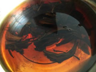3、奶茶,煮5分钟，关火浸泡5分钟，让茶叶完全舒展释放出它本应该有的味。