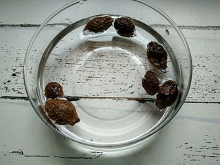 2、胖大海糖水,胖大清洗一下捞出