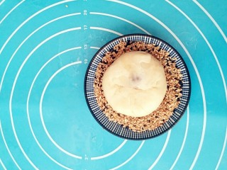 25、蟹壳黄烧饼,放在芝麻上，轻量按压，均匀的裹满芝麻。