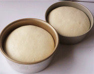 6、奶酪包,烤箱放一烤盘热水，发酵模式温度设置45度左右（也可以根据自己的烤箱设定或者不设置），时间设置50分左右，直到面团发酵到2.5倍大