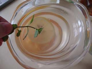 5、樱桃特饮,薄荷叶揉碎放杯里