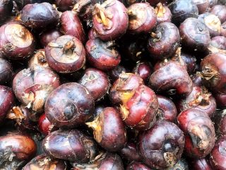 2、马蹄银耳红枣汤,清洗马蹄。