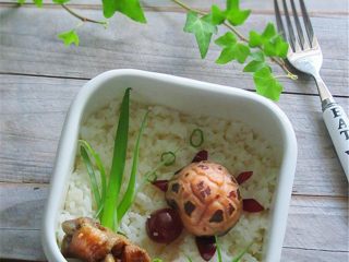 10、小乌龟便当,另取一个便当盒，下面先铺上米饭，然后上面用花菇、葡萄摆出一个可爱的小乌龟，眼睛可以用米粒粘上，用葱剪出水草，肉和菜做水中石头