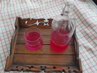 20、夏日果味酵素饮品,有点像格瓦斯的味道,但是比格瓦斯好喝多了。