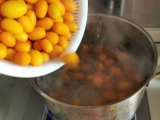 4、咸金桔【腌制方法】,烧开一锅清水，把金桔放进去煮过，水稍沸腾，桔子变得饱满光亮就可以（大概1一2分钟），不要把桔子煮熟。