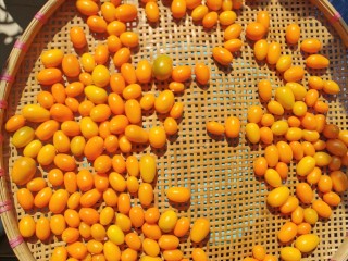 5、咸金桔【腌制方法】,用小篮子装起金桔，沥干水，风干一天。